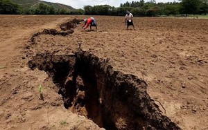 Tại sao lục địa Châu Phi đang bị chia tách thành hai: Giải mã bí mật địa chất âm ỉ suốt hàng chục triệu năm