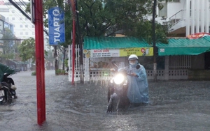 Đà Nẵng đóng cửa bán đảo Sơn Trà, cho học sinh nghỉ học