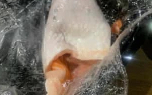 Đặt 3 lạng sashimi ăn "đổi gió", cô gái nhận về 2 lạng cá và 1 lạng da: Dân mạng hoang mang khó hiểu