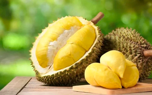 "Thu 10 đồng - lãi 7 đồng" từ sầu riêng, một DN trên sàn quyết định thanh lý 36ha đất bên Lào để tăng trồng sầu riêng