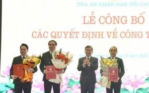 Chủ tịch nước bổ nhiệm Phó Chánh án Tòa án nhân dân Tối cao