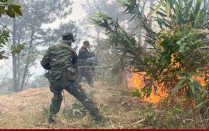 Cháy rừng suốt đêm ở Quảng Ninh, các lực lượng tạo đường băng cản lửa cháy lan