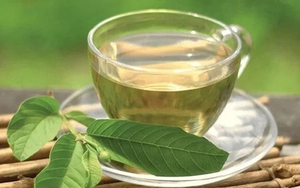 1 thứ nước lá được mệnh danh như “thuốc trường sinh”, ngừa ung thư và làm đẹp da, khi dùng cần lưu ý duy nhất điều này!