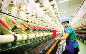 Một ngành của Việt Nam lần đầu vào Top 2 thế giới, cơ hội giành thị phần rất lớn ở Mỹ