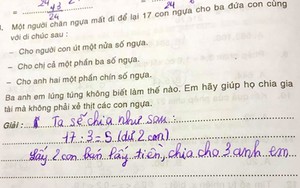 Bài toán 'chia đều 17 con ngựa cho 3 người' gây bão mạng