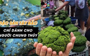 Món ăn được mệnh danh “chỉ dành cho người chung thủy”, cả năm mới có một mùa ở Tây Bắc khiến dân tình háo hức muốn thử