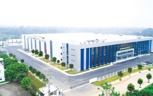 Loạt công ty ráo riết chia cổ tức, cổ đông sắp nhận "mưa" tiền mặt dịp cuối năm