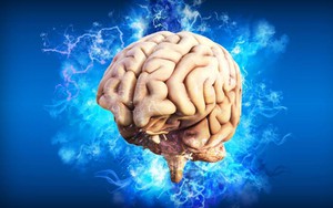 Các nhà khoa học Nga phát triển ‘bộ não mini’ để nghiên cứu nhận thức con người