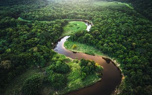 Phát hiện nền văn minh cổ đại dưới tán rừng Amazon
