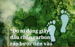 “Đo ni đóng giầy” dấu chân carbon, rảo bước tiến vào sân chơi lớn