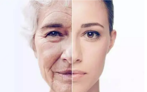 3 loại thực phẩm giúp bạn đảo ngược lão hóa, giữ mãi nét thanh xuân
