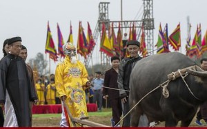 Lão nông đóng giả vua, mặc long bào đi cày trong lễ hội Tịch điền ở Hà Nam