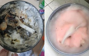 Rùng mình trước cảnh nồi cơm điện mốc meo sau Tết: Nỗi ám ảnh kinh hoàng của hội đi thuê trọ là đây!