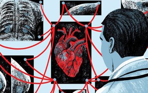 Tại sao tim lại là bộ phận duy nhất trong cơ thể gần như không thể bị ung thư?