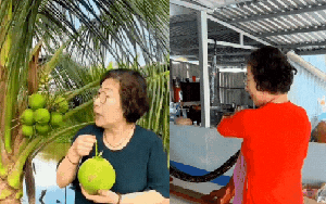 Mẹ chồng Hàn về quê con dâu miền Tây: Làm ngay chuyến food tour ngoài vườn trái cây, lên đồ bà ba hoà tan gấp