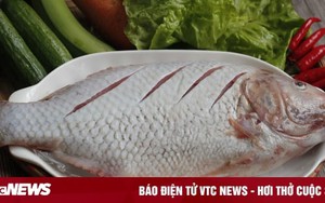 Ngâm cá trong thứ nước này cá hết sạch mùi tanh
