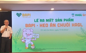 Bapi Hoàng Anh Gia Lai đột ngột giảm vốn điều lệ, hệ thống bán online từng được kỳ vọng xử lý 100.000 đơn hàng/ngày nay bị bỏ bê?