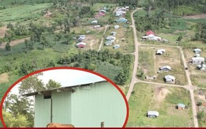 Dân chê không ở, khu tái định cư tiền tỷ thành nơi chăn bò