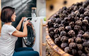 Thả một nắm tiêu đen vào vào máy giặt có công dụng gì?