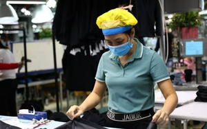 1 năm thê thảm của “ông lớn” dệt may: Từ 4.000 công nhân còn vỏn vẹn 35 người, doanh thu cốt lõi 0 đồng, Chủ tịch nhận 0 đồng thù lao