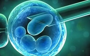 Tăng trưởng ngược: Các nhà khoa học tiết lộ sức mạnh bí ẩn của tế bào