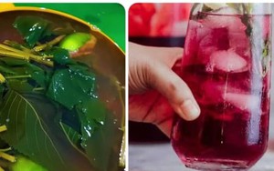 Uống nước lá tía tô có tác dụng gì với sức khoẻ?