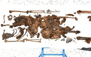Phát hiện thi thể cậu bé hơn 2.000 năm tuổi dưới đầm lầy