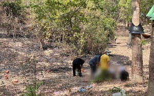 Thi thể cháy đen trong lô cao su ở Kon Tum nghi là kiểm sát viên