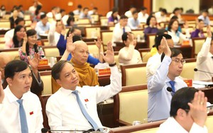Miễn nhiệm đại biểu HĐND TPHCM đối với bà Tô Thị Bích Châu, Trần Hải Yến