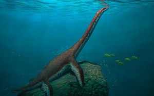 Lộ diện “quái vật hồ Loch Ness” hoàn toàn mới ở Đức