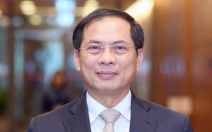 Lần đầu tiên chất vấn Bộ trưởng Bộ Ngoại giao Bùi Thanh Sơn
