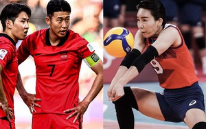 Thể thao Hàn Quốc liên tiếp "nổ" scandal: Hết Lee Kang-in đấm Son Heung-min lại đến kiều nữ bóng chuyền bị cấm thi đấu vì bắt nạt đàn em