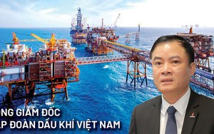 Thông tin về tân Tổng Giám đốc Tập đoàn Dầu khí Việt Nam