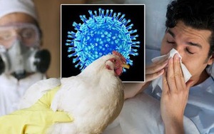 Sinh viên nhiễm cúm gia cầm A/H5 ở Khánh Hòa đã tử vong: Bệnh cúm này nguy hiểm như thế nào?