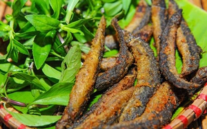 Muốn săn "rồng con", nam giới chú ý ăn thêm 5 loại thực phẩm bổ tinh, không biết sẽ thiệt thòi!