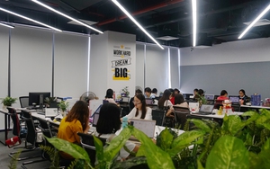 Ngay ở Việt Nam, một nhóm ngành đang nhận lương hơn 125 triệu đồng/tháng