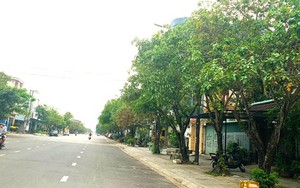 Bộ Công an yêu cầu Quảng Nam cung cấp thông tin gì liên quan 10 doanh nghiệp?