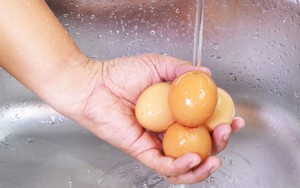 Mua trứng về có nên rửa sạch trước khi cho vào tủ lạnh? Vấn đề đơn giản nhưng không phải ai cũng biết