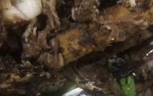 Kiểm tra, xử phạt quán bán cá lóc nướng có dòi lúc nhúc