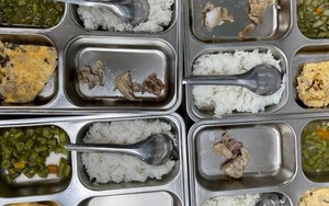 Làm rõ phản ánh bữa cơm bán trú của học sinh tiểu học thua cơm bụi lề đường
