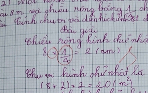 Con làm phép tính "8 x 1/4 = 2" bị cô giáo gạch sai đỏ choét, phụ huynh TP.HCM bức xúc: "Cách nào mới đúng?"