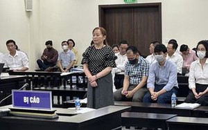 Nữ cựu chủ tịch Vimedimex Nguyễn Thị Loan kêu oan, nhiều bị cáo khác nhận tội