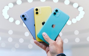 Mẫu iPhone bán chạy nhất Việt Nam đang "sập giá"