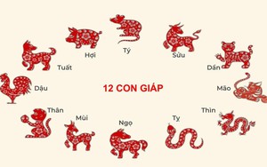 Tử vi 12 con giáp ngày 22/4: Dậu được khen thưởng, tình cảm ngọt ngào đầu tuần