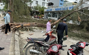 Cứu hộ 10 ngư dân bị đắm thuyền do giông lốc tại Quảng Ninh