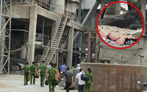 Thủ tướng chỉ đạo khẩn vụ tai nạn nghiêm trọng khiến 7 người tử vong ở nhà máy xi măng Yên Bái