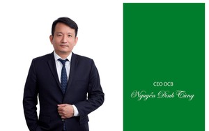 Tổng giám đốc OCB Nguyễn Đình Tùng xin từ nhiệm