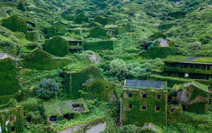 Ngỡ ngàng ngôi làng cổ bỏ hoang bị thiên nhiên 'nuốt chửng'