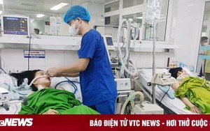 Hai chị em nguy kịch sau bữa cơm trưa với rau rừng