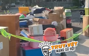 TP HCM: Sự thật cô gái bị đuổi khỏi chung cư do nuôi đến 19 chú chó